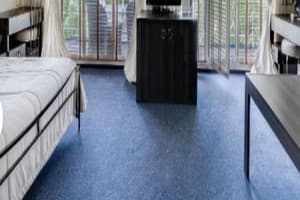 Отель Баккара. Делюкс двухместный с видом на парк 2