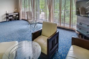 Отель Баккара. Люкс двухместный с видом на парк 1