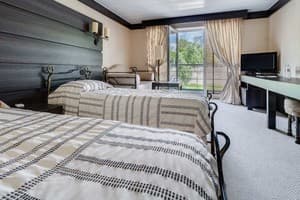 Отель Баккара. Стандарт двухместный twin с видом на парк 2