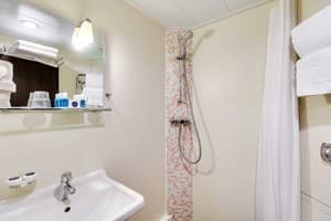 Отель Баккара. Стандарт двухместный twin с видом на парк 4