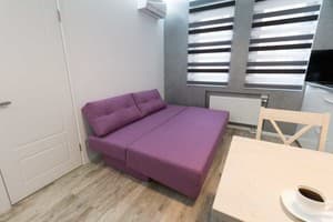 Квартира CityApartments Akademmistechko Kyiv. Делюкс 4-местный  4