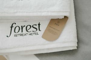 Рекреационный комплекс Forest Retreat Center. Люкс двухместный Forest 9
