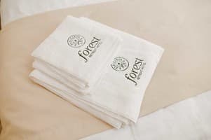 Рекреационный комплекс Forest Retreat Center. Полулюкс 4-местный Forest 14