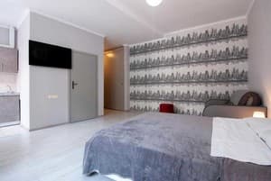 Квартира Home hotel ул. Софиевская, 1. Апартаменты трехместный  5