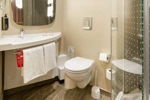 Отель Ibis Kyiv Railway Station. Стандарт двухместный  4