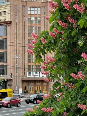 Manhattan High Line Apart 5