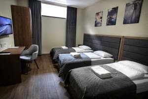 Отель Nesvit Hotel. Стандарт трехместный  1