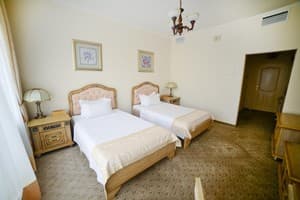 Отель Соната. Стандарт двухместный Твин 1