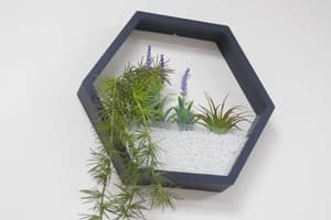 Хостел Uneed Rooms M1. Семейный 4-местный  6