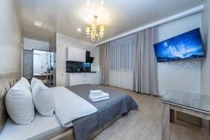 Апарт-отель Victoriya Family 2. Апартаменты двухместный Люкс 2 2