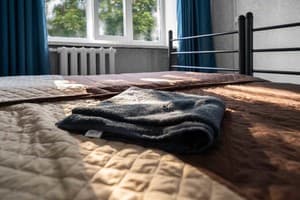 Хостел єЖилье Щекавица. Семейный 4-местный  1