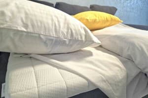 Квартира проспект Европейского Союза, 41. Апартаменты двухместный 11 этаж 2